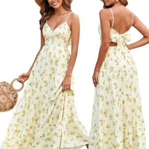 HTZMO Women Casual Summer Floral Maxi Sundress V Neck Spaghetti Strap Bow Tie Backless Flowy Boho Beach Long Dress 2025